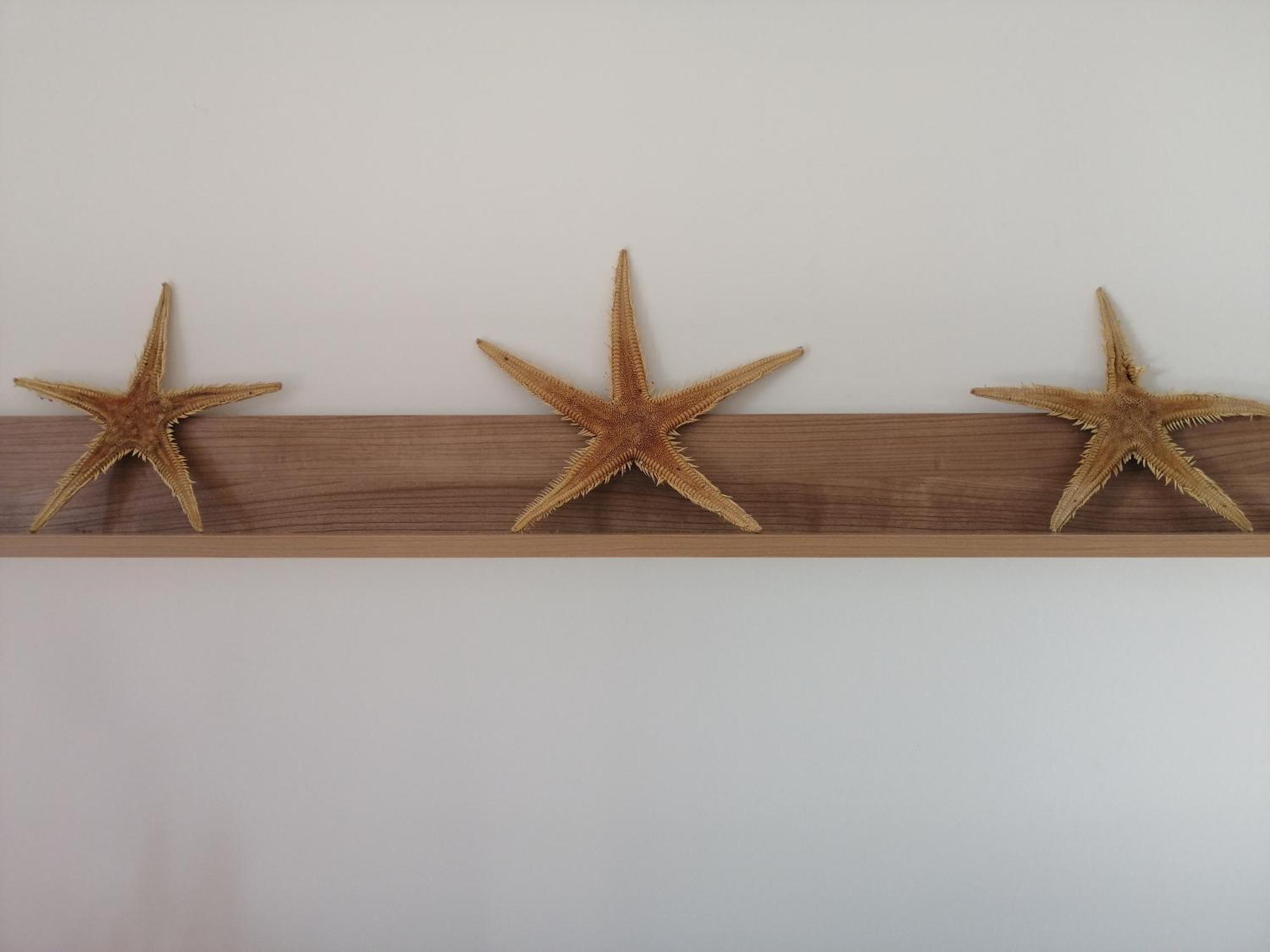 Apartmani Nada Klenovica Luaran gambar
